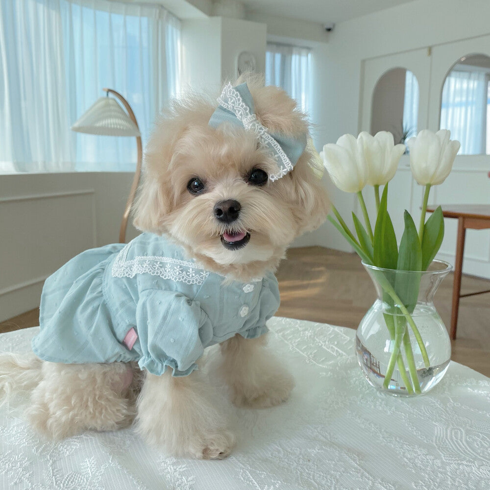 Little Princess Ops - Mint