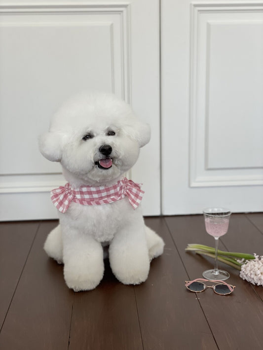 Hyacinth Pink Harness