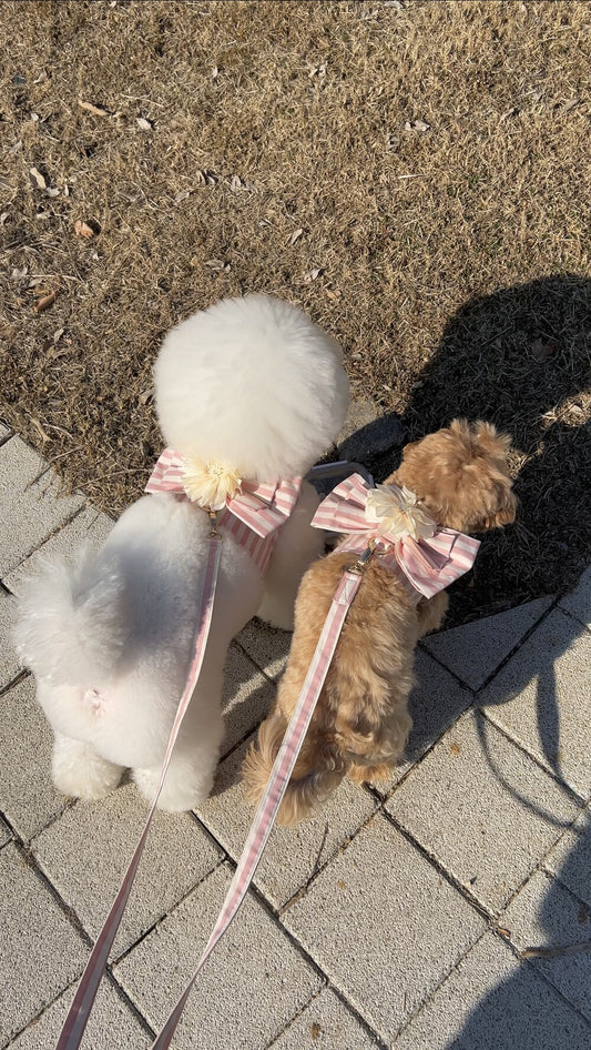 Cocktail Pink Harness