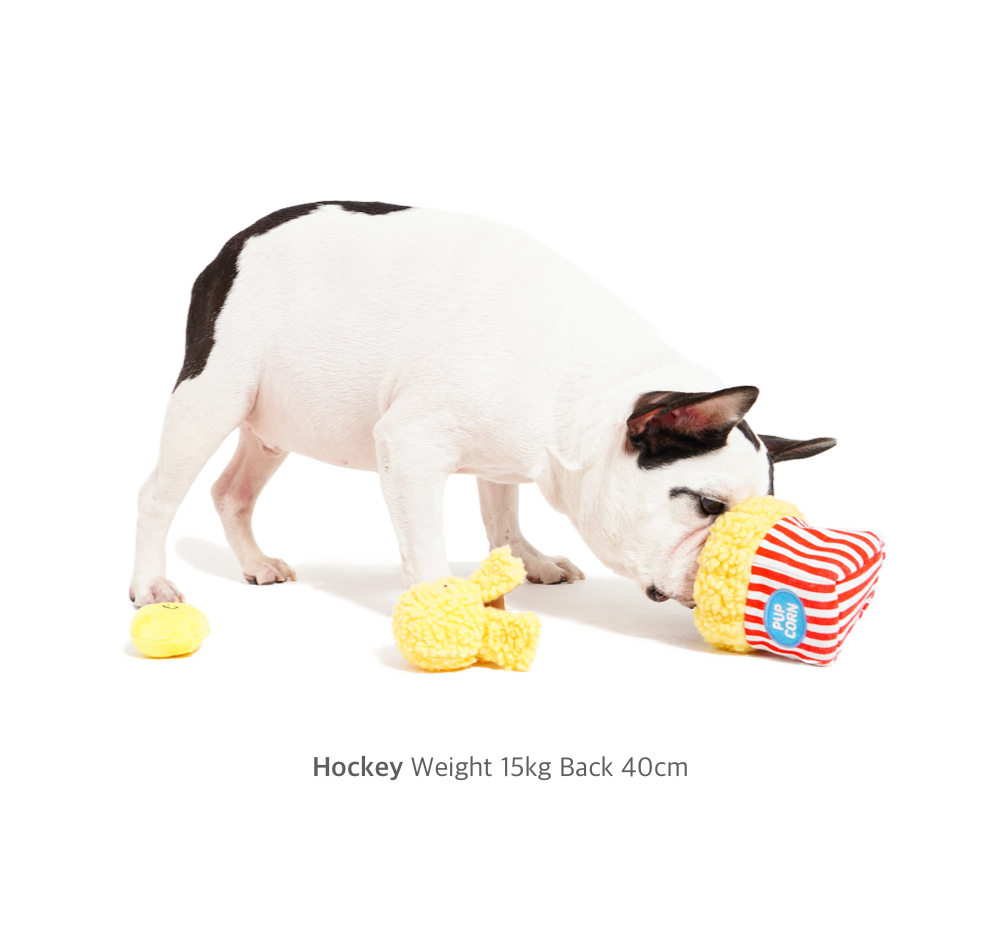 Popcorn Hunting Toy