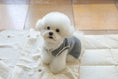 Load image into Gallery viewer, Preppy Sleeveless Knit Cardigan (3 Colors)
