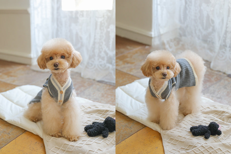 Preppy Sleeveless Knit Cardigan (3 Colors)