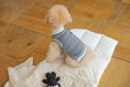 Load image into Gallery viewer, Preppy Sleeveless Knit Cardigan (3 Colors)
