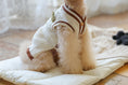 Load image into Gallery viewer, Preppy Sleeveless Knit Cardigan (3 Colors)
