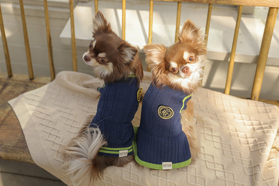 Preppy Sleeveless Knit Cardigan (3 Colors)