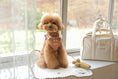 Load image into Gallery viewer, Sailor Cotton Knit (4 Colors)
