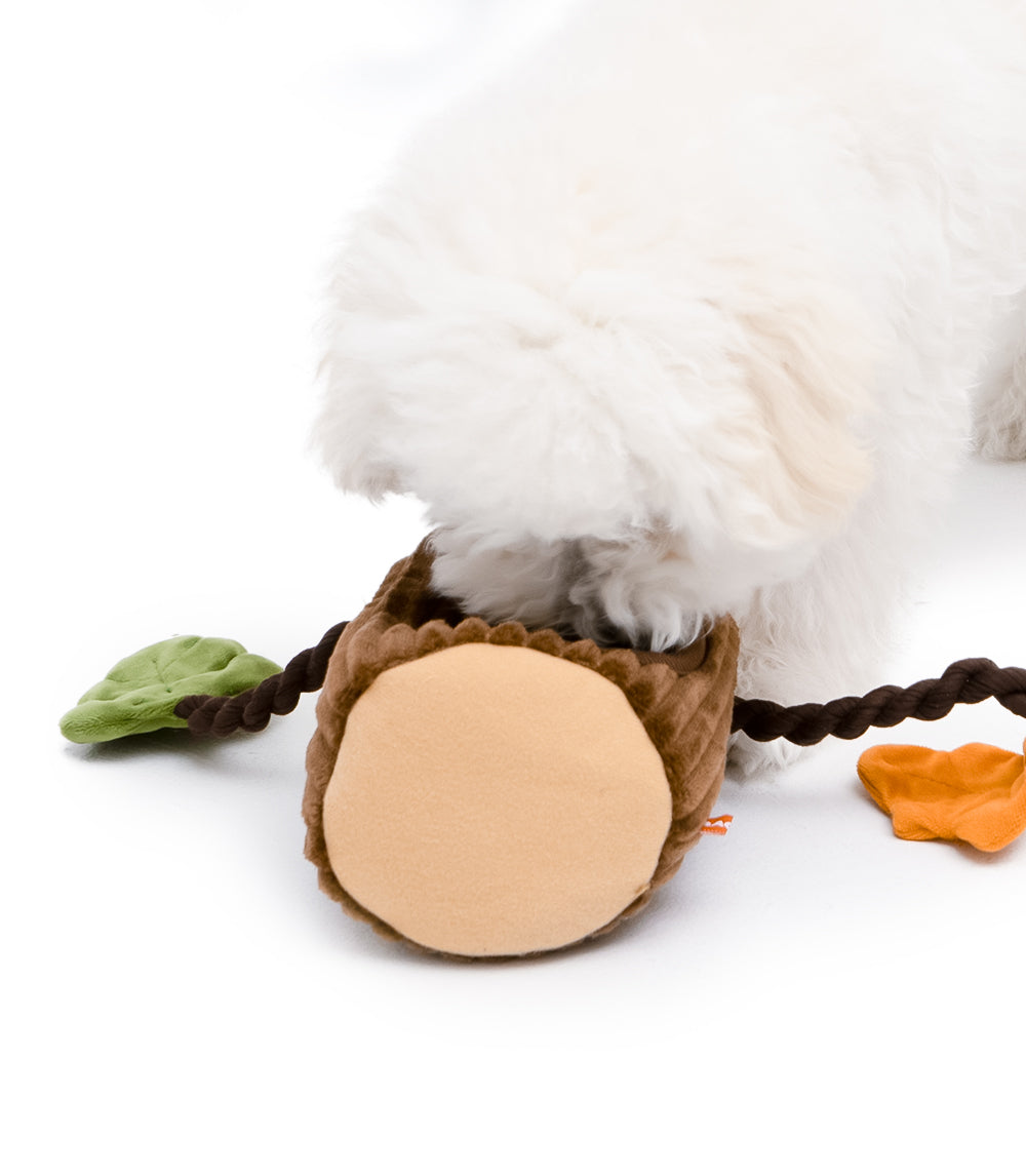 Squirrel Hunting Toy