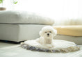 Load image into Gallery viewer, Fur Rug (Only White)
