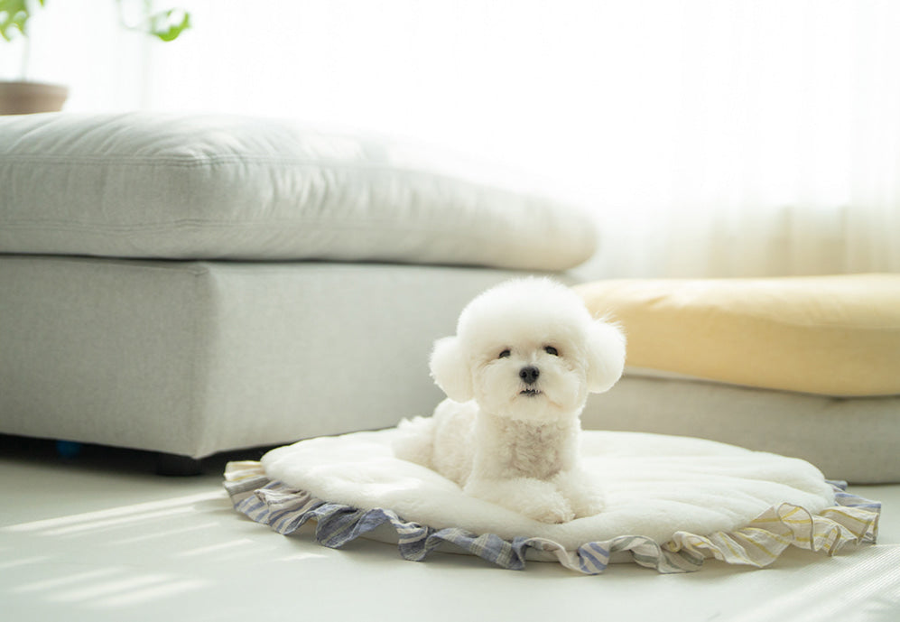 Fur Rug (Only White)