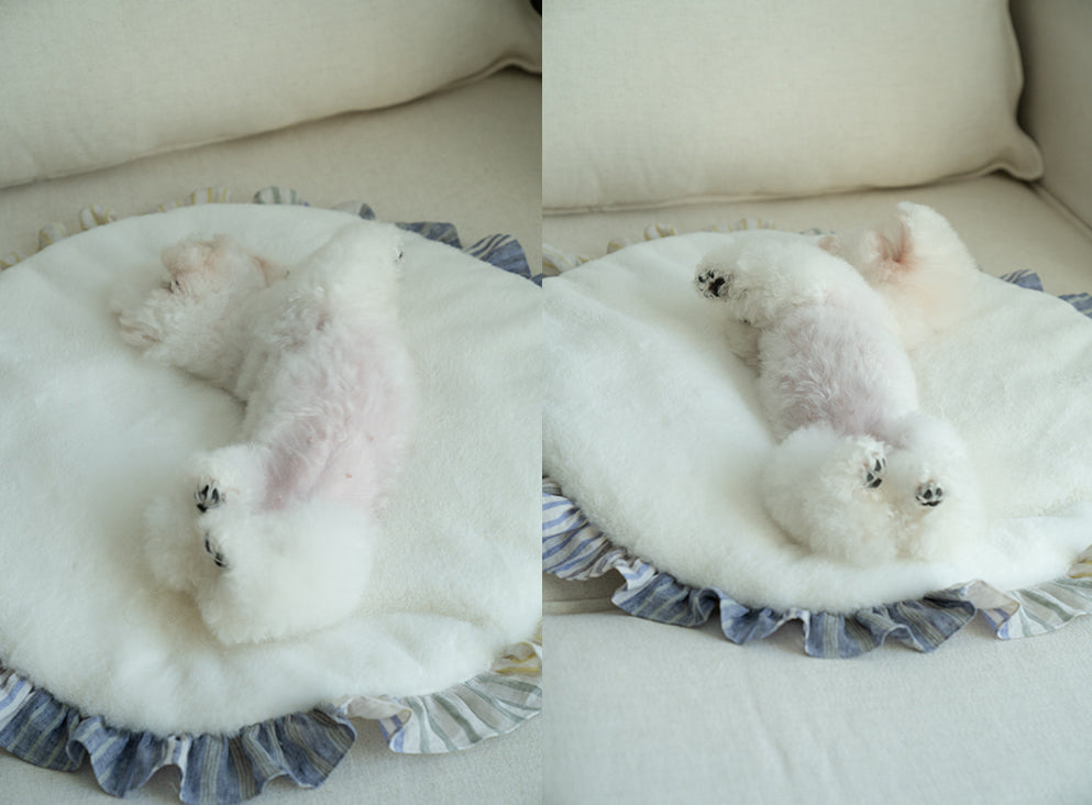 Fur Rug (Only White)